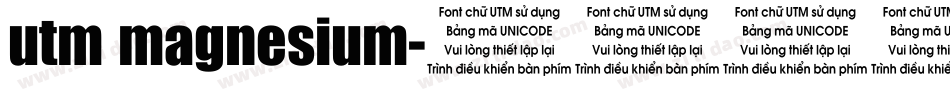 utm magnesium字体转换